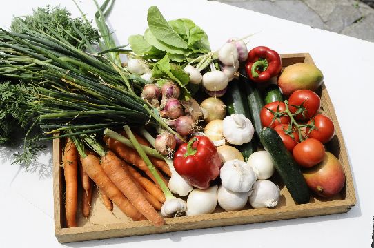 legumes plateau quefairedesimple